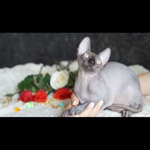 Meet your Posher, Makayla